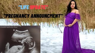 Answer to Why No Videos? || Life Update || Pregnancy Announcement