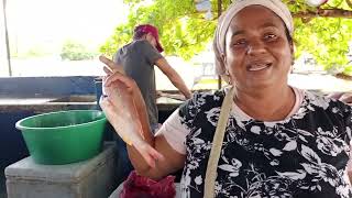 Pescadores y Pescados en La Guajira parte 2