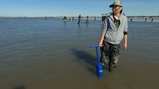 Razor Clam Catch And Cook.