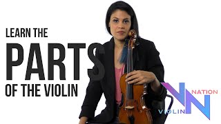 Learn the Violin Online | Parts of the Violin