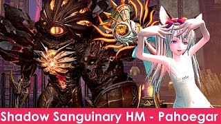 【TERA】「Priest」Shadow Sanguinary (HM) - 1st Boss Nightmare Pahoegar