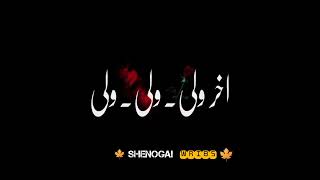 pashto shayari status||pashto black screen poetry status||pashto sherona #viralstatus #pashtopoetry