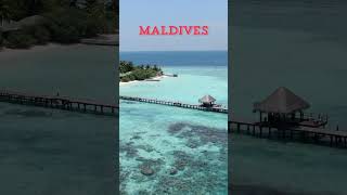 Maldives Dive into Crystal Clear Waters