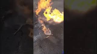 Floating FIRE! Mid-Air! (Using WD-40)