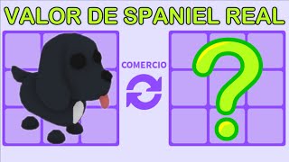 TRADE QUE OFRECEN por el PERRO SPANIEL REAL  👑🍵 adopt me roblox