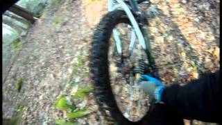 Singletrack Mountain Biking