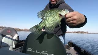 Spring Crappie Local Lake 4-5-2021