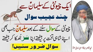 A few questions from Suleman eleh Salam, an ant || Mufti Zarwali Khan || Islamic Urdu