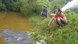 Fishing Video: Believe This Fishing? Unique Pump System Out of water from the pond and catch fish