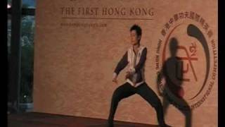 陳氏太極(顧青) Susan Gu - Chen style taijiquan