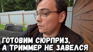 Дачный влог. Готовим сюрприз к дню рождения, а вот триммер так и не завелся. Загородная жизнь