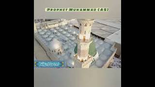 Biography of Prophet Muhammad (AS)/The Fourteen Infallibles/Ahl al-Bayt (AS)/Muhammad (AS)