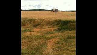 Cutting Wholecrop Barley