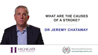 What are the causes of a stroke?