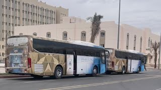 Buses leaving the Islamic University of Madinah going to Masjid An-nabawi