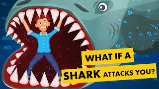 What If You Are Attacked By A Shark