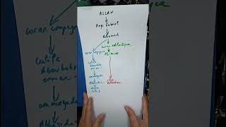 La falsification du Coran. (partie 1)