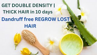 GET DOUBLE DENSITY |THICK HAIR in 10 days | DIY Dandruff free REGROW LOST HAIR দ্বিগুন ঘনও লম্বা চুল