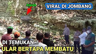 VIRAL..!Batu ular awalnya di duga batu biasa ternyata pas di teliti ular purba bertapa,