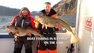 Cod fishing at Sudureyri Iceland with seabooms.com and Iceland Pro Fishing