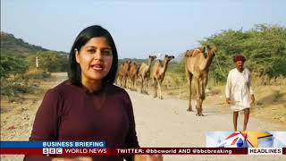 INDIA'S PUSHKAR FAIR 'FEAR'