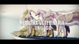 Medicina Veterinária Unilago