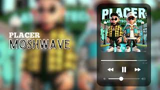 MOSHWAVE - PLACER