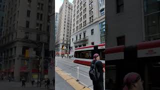 Toronto city downtown #shorts | Downtown Toronto Canada | Canada Vlogs