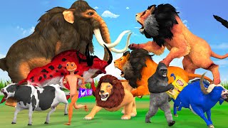 3 Lions attack Vs 2 Big Bull, Cow Cartoon, Gorilla Saved by Woolly Mammoth Elephant Fight Lion