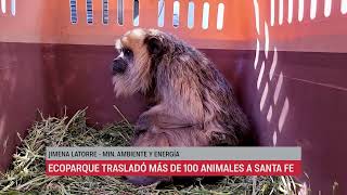 ECOPARQUE TRASLADÓ MÁS DE 100 ANIMALES A SANTA FE