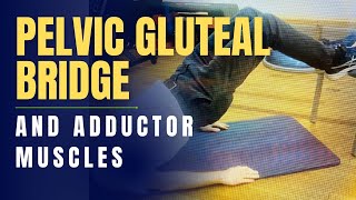 Pelvic Gluteal Bridge for Adductors