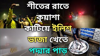 শীতের রাতে কুয়াশা কাটিয়ে ইলিশ ভাজা খেতে পদ্মার পাড়