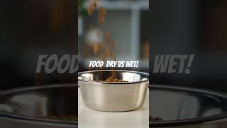 Dry Cat Kibble Vs Wet Cat Food , Which is better ? #catvideos #cat #cats #catlover  #yourcat #pets