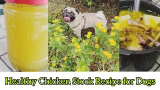 How to make healthy homemade chicken stock for dogs | Quick meal using chicken stock | Ice-lollies