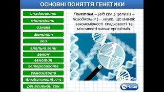 основні поняття генетики