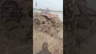 #driving #driver #automobile #agriculture #viralvideos #massey241 #farming #farmer