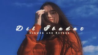 Dil Ibaadat - [Slowed and Reverb] Lofi Mix | AestheticMusic | New Song