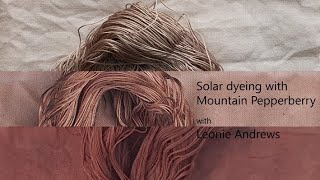 Solar Dyeing with Mountain Pepperberry