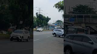 Bis Primajasa Jurusan Tanjung Priok Rangkas Bitung#shorts