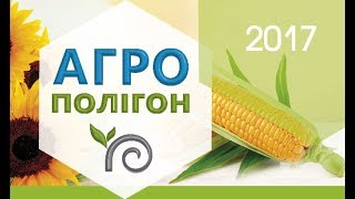 Агрополігон 2017 - система контролю бур`янів в посівах кукурудзи