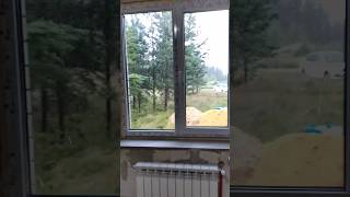 ДОЖДЬ ИЗМЕНИЛ ПЛАНЫ ПОР РАБОТЕ НА УЧАТСКЕ🏠🌲🌳#shorts#shortsvideo#faustowashorts#растения #деревья#дом