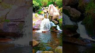 🇪🇸 🌳 Parque Natural Ría de Barosa (Barro) #Senderismo #Galicia #España #Shorts