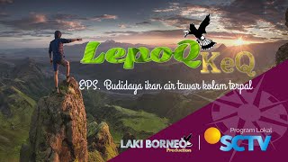 Prog SCTV LOKAL TANJUNG SELOR - BUDIDAYA IKAN TERPAL