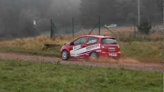 High Forest Rallye 2011 (HD)