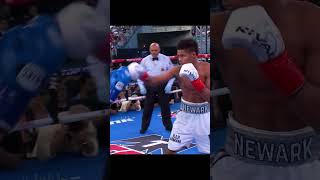 Shakur Stevenson Boxing Domination Of Edgar Brito