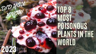 TOP 8 MOST POISONOUS PLANTS IN THE WORLD #plants #poisonous #top #world #top8 #2023