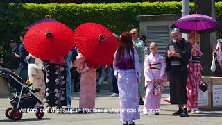 Senso-ji Temple - Japan