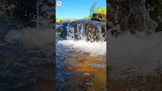 Beautiful Nature💦💖 #shorts #youtubeshorts #nature #ytshorts #shortsfeed #water #southafrica