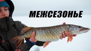 Межсезонье. Баня в лесу. Щука на жерлицы.