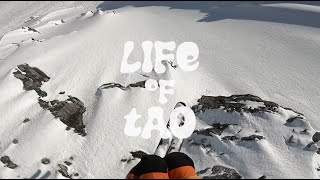 Teaser: Life of Tao